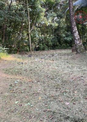 premium-listing-image