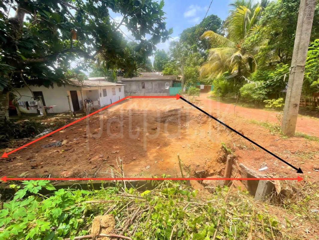 Agricultural Land for Sale in Panadura