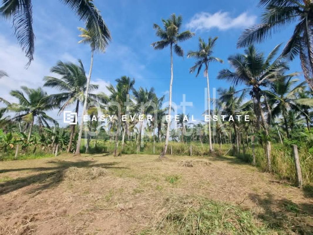 Residential Land for Sale in Mirigama