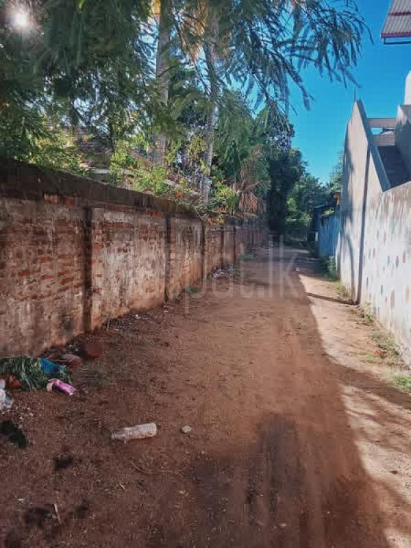 Agricultural Land for Sale in Ambalantota