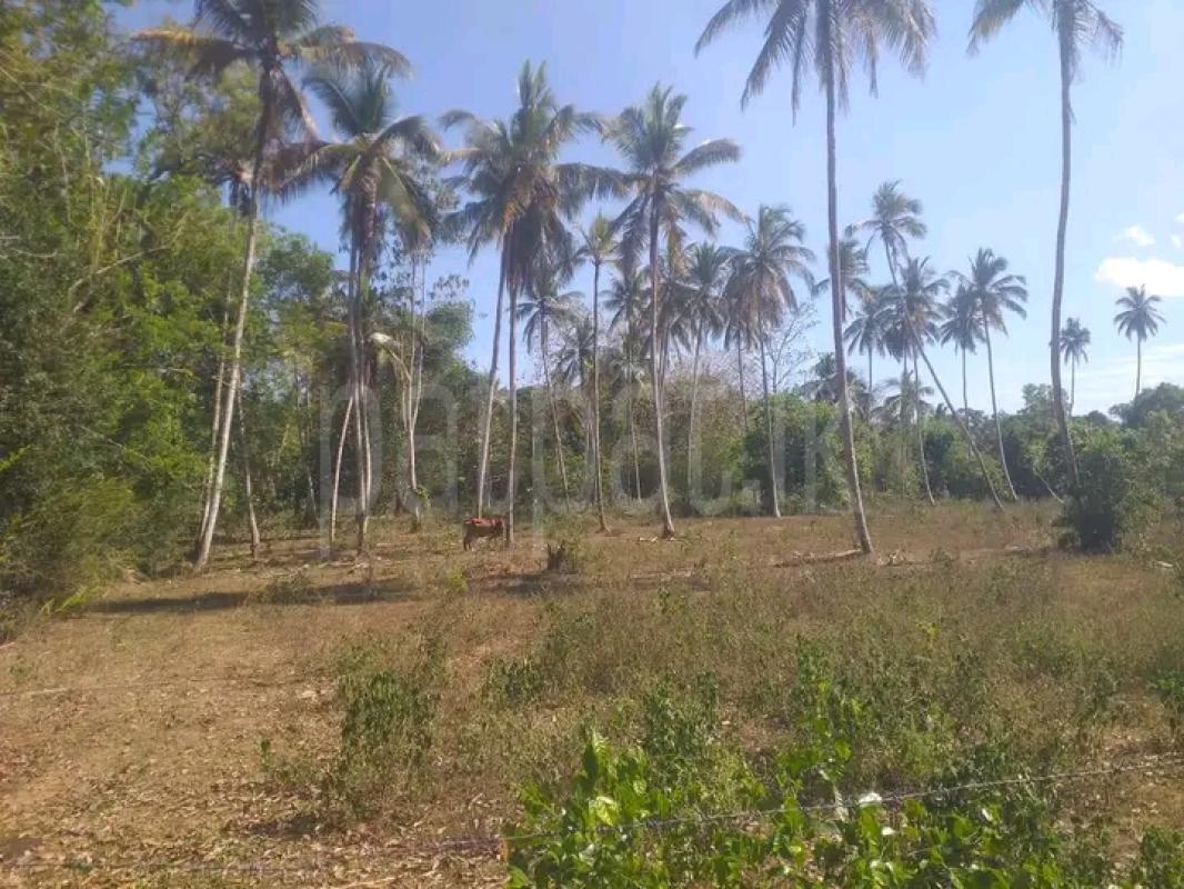 Commercial Land for Sale in Hambantota