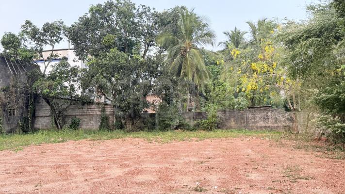 Commercial Land for Sale in Malwatta