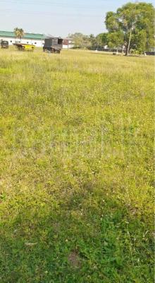 premium-listing-image