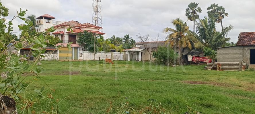 Residential Land for Sale in Puttalam