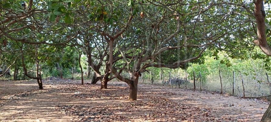 Residential Land for Sale in Puttalam