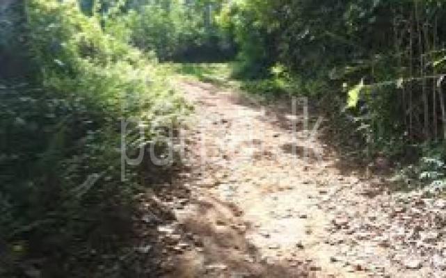 premium-listing-image