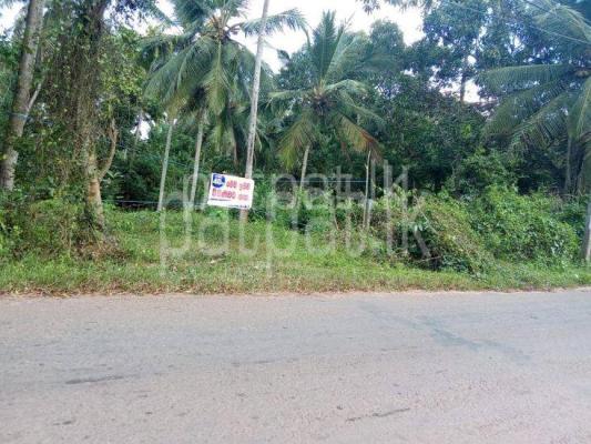 premium-listing-image