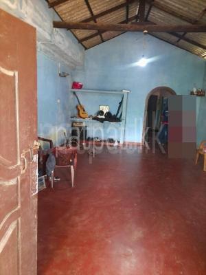 House for Sale in Ekala