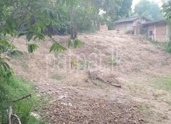 premium-listing-image