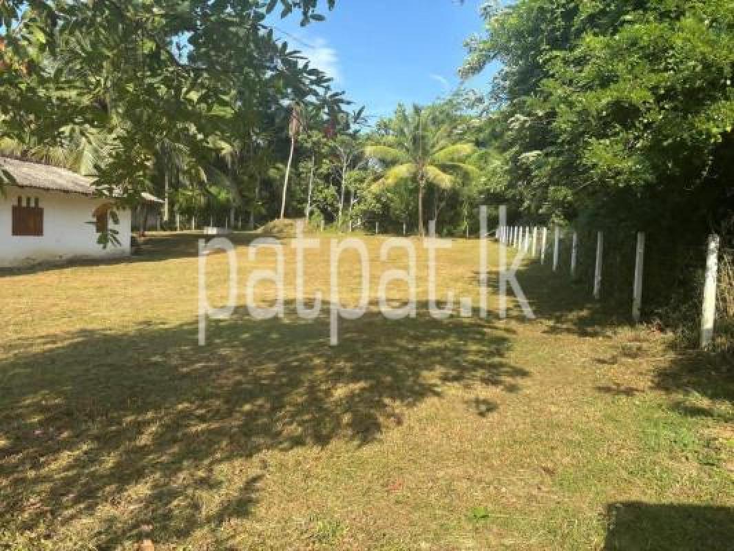 Residential Land for Sale in Kuliyapitiya