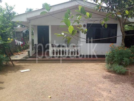 premium-listing-image