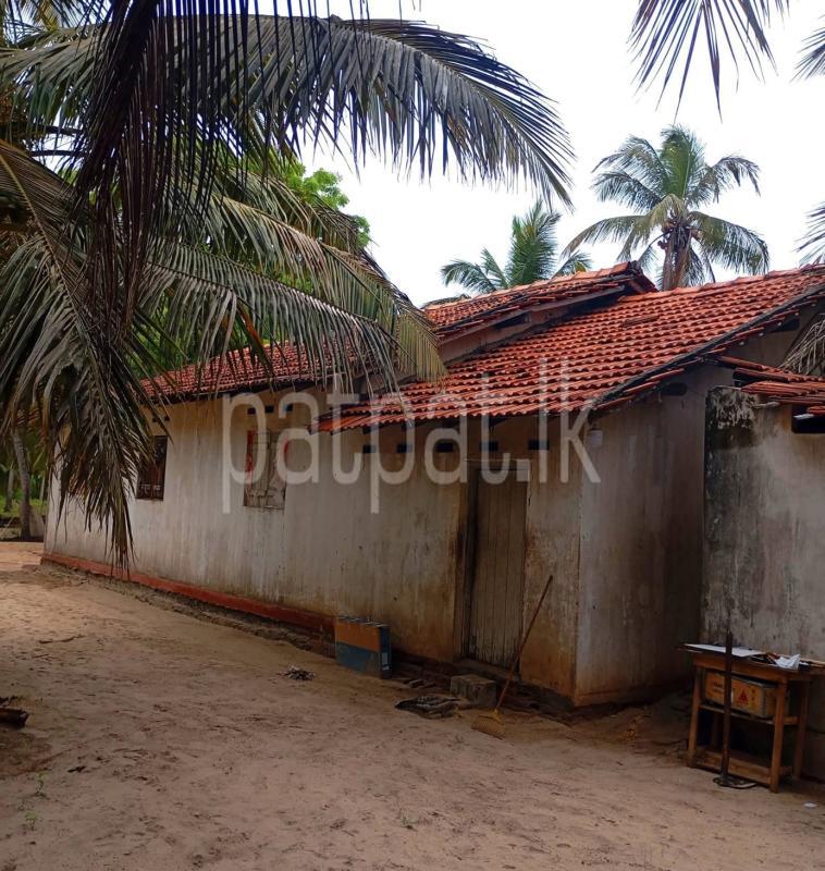 Commercial Land for Sale in Puttalam