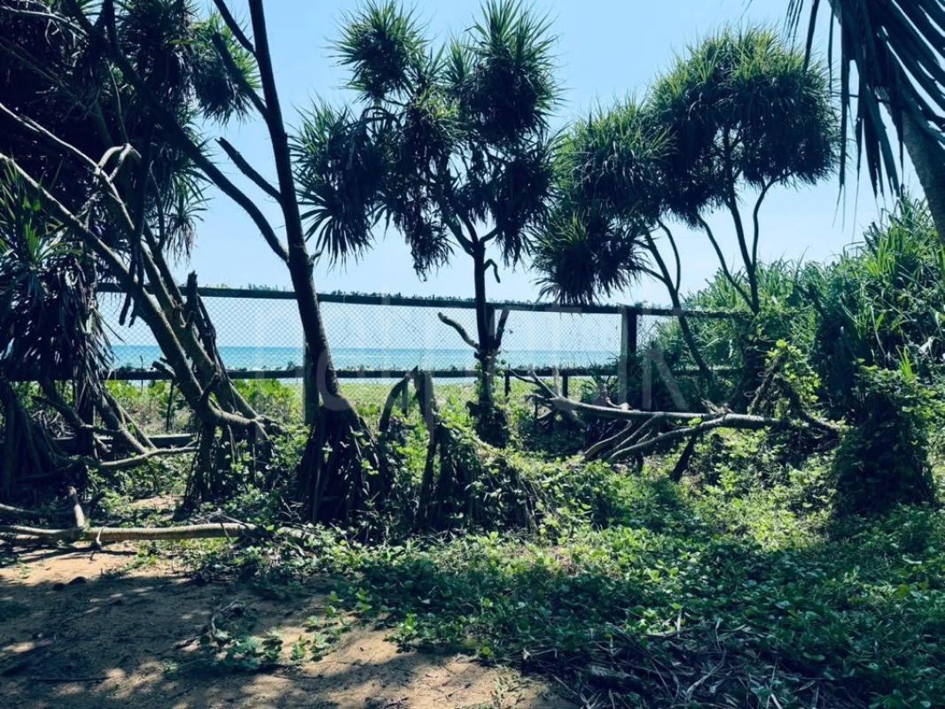 Residential Land for Sale in Wadduwa