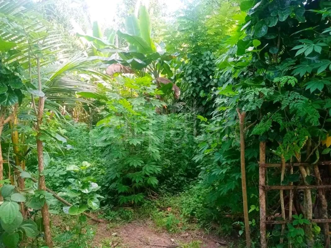 Residential Land for Sale in Bandaragama
