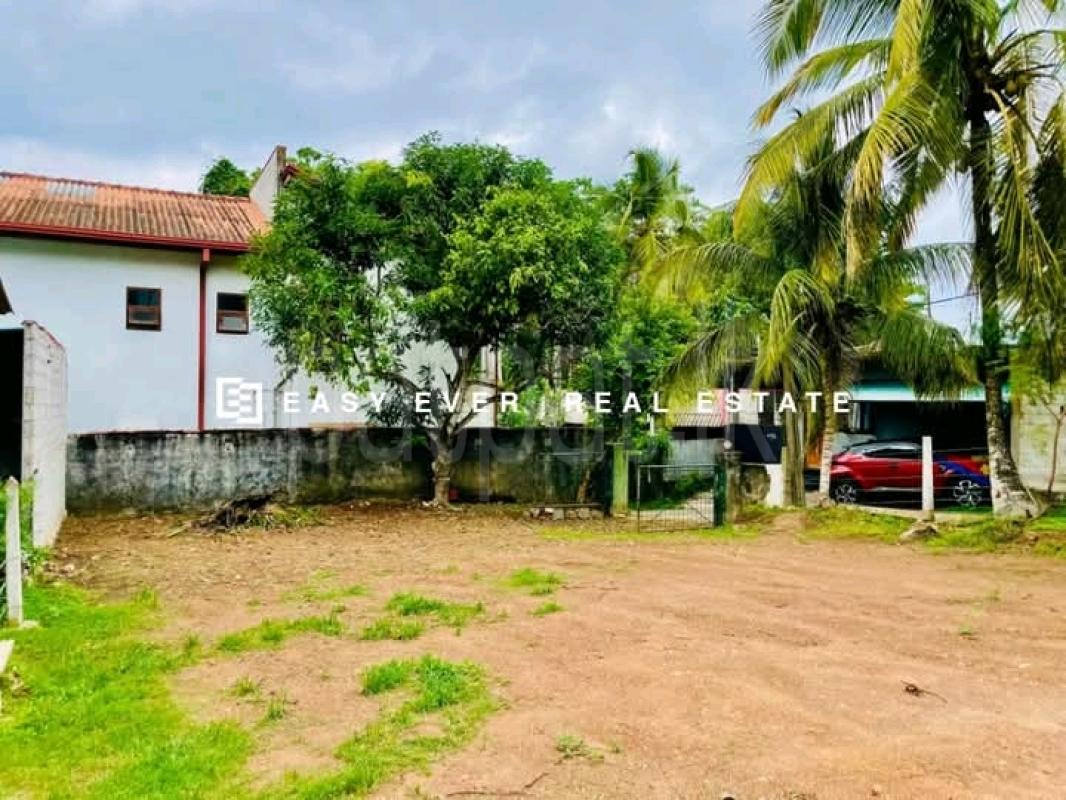Commercial Land for Sale in Kotte