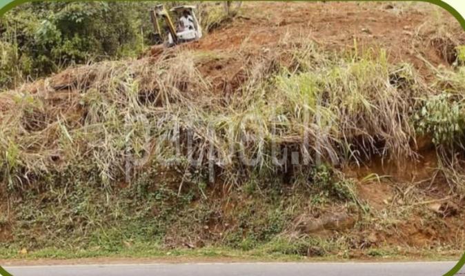 premium-listing-image