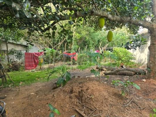 Commercial Land for Sale in Anuradhapura