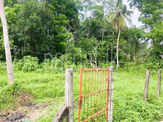 premium-listing-image