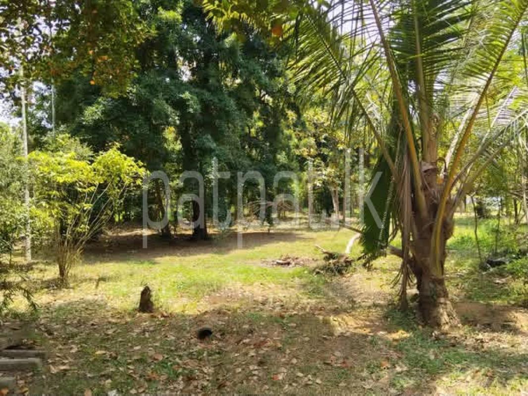Residential Land for Sale in Narammala