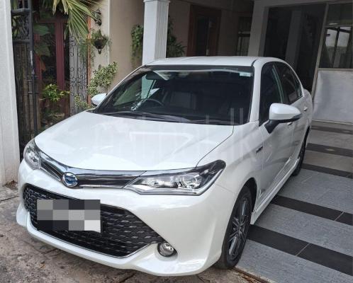 premium-listing-image