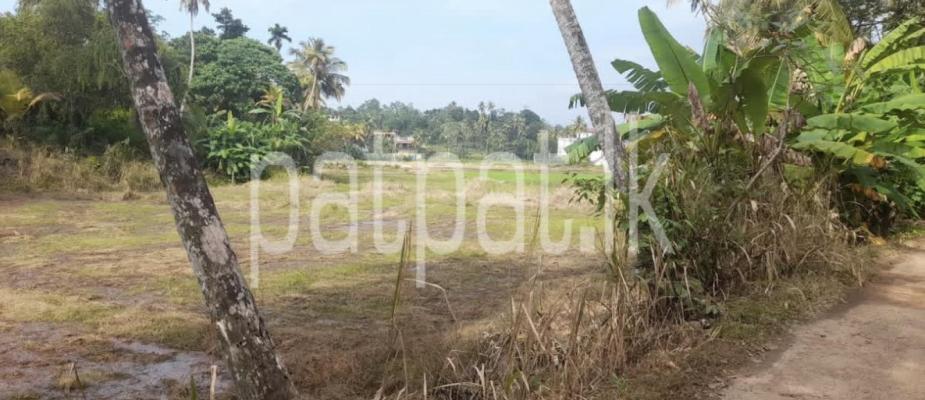 Agricultural Land for Sale in Wanchawela