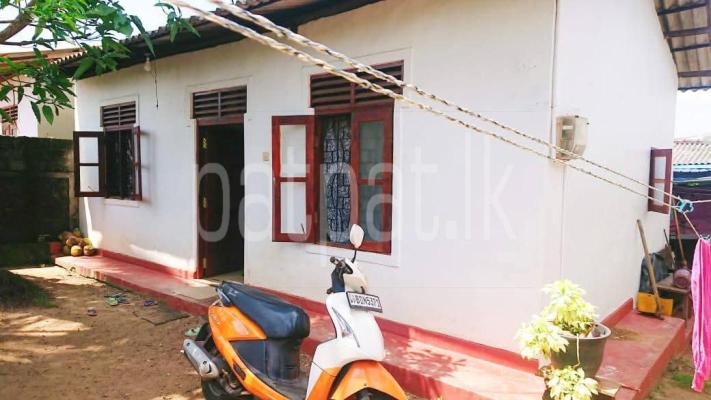 premium-listing-image