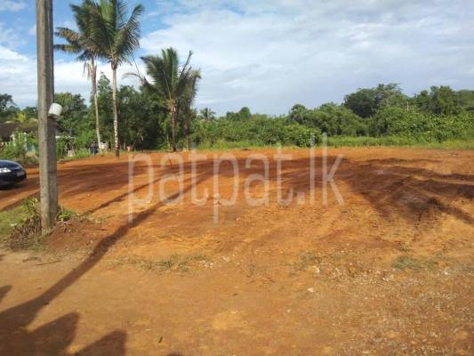 premium-listing-image