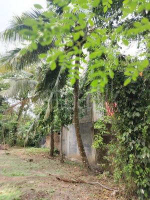 Residential Land for Sale in Gampaha