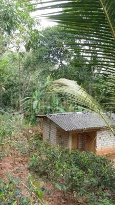Residential Land for Sale in Kandy