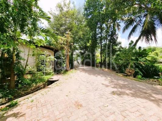 premium-listing-image