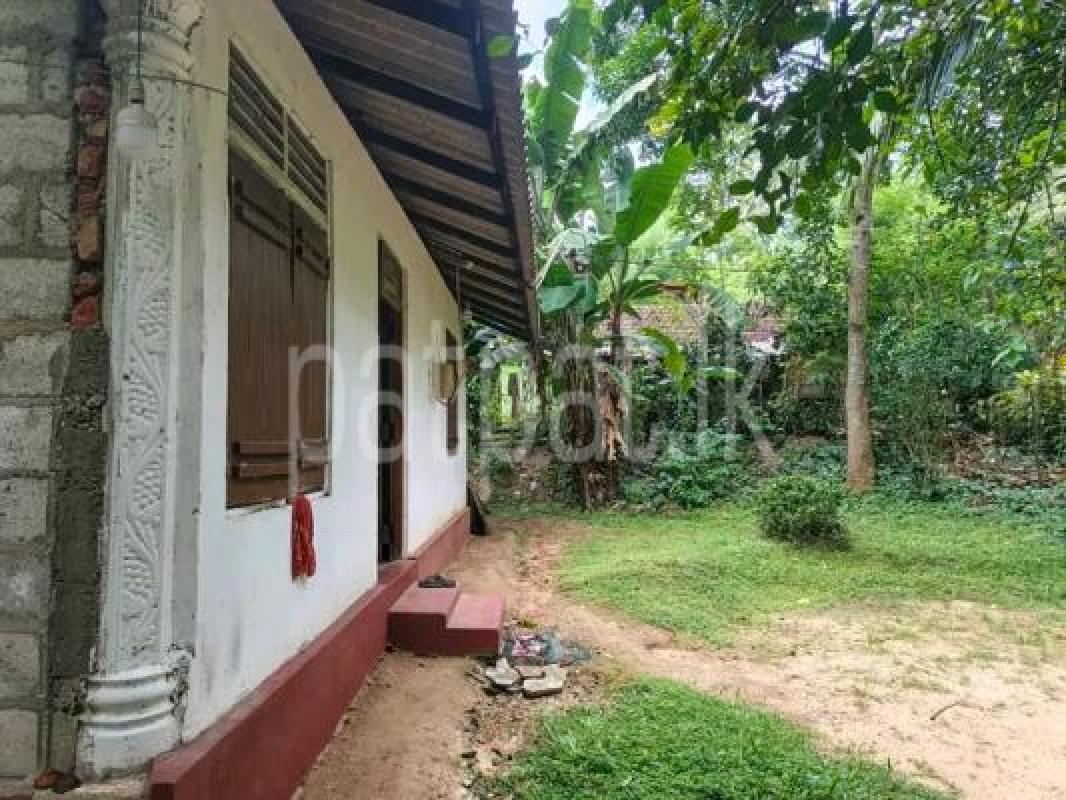 House for Sale in Negombo