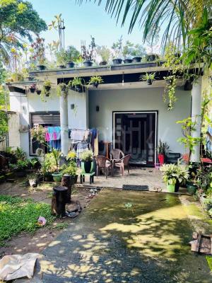 House for Sale in Ibbagamuwa