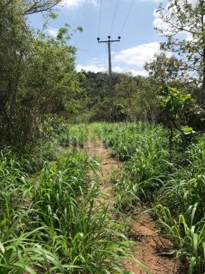 Commercial Land for Sale in Dambulla