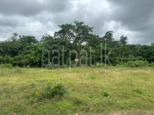 Residential Land for Sale in Horana