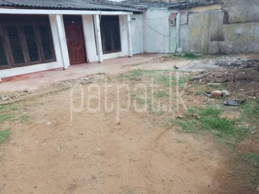 premium-listing-image