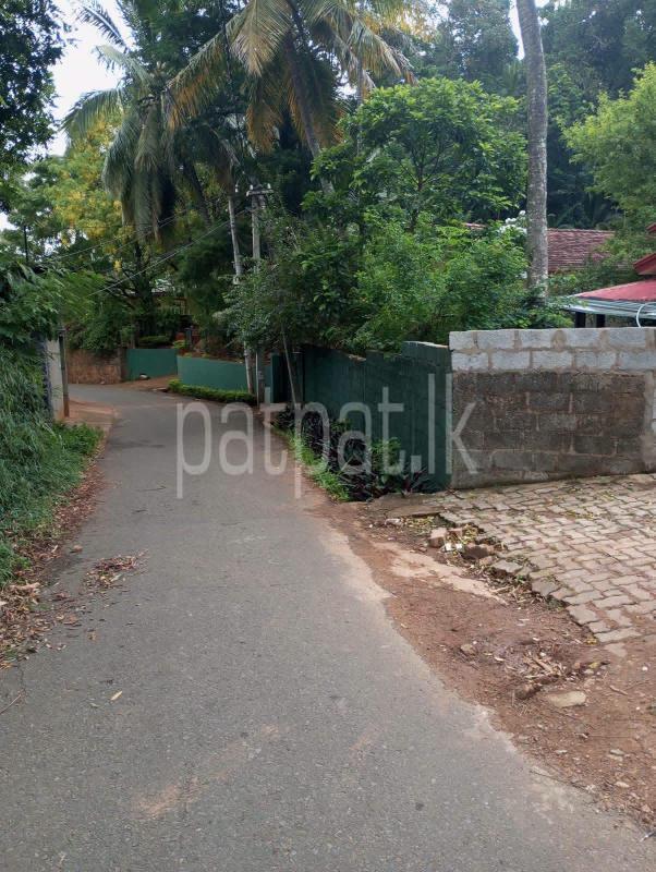Agricultural Land for Sale in Ampitiya