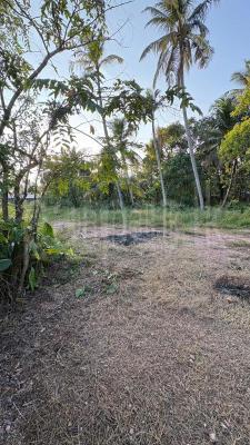 Residential Land for Sale in Thimbirigaskatuwa