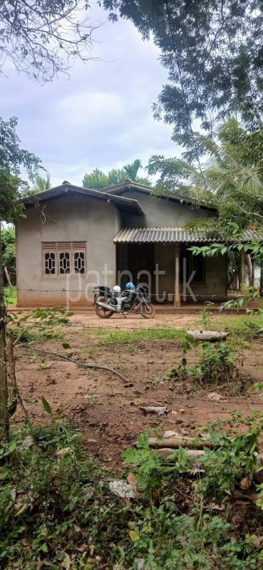 Residential Land for Sale in Kataragama