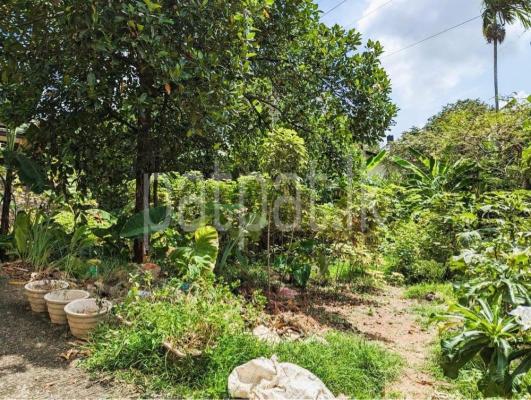 premium-listing-image