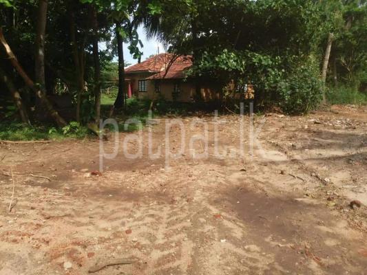 premium-listing-image