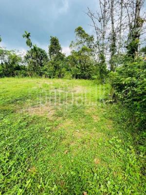 premium-listing-image