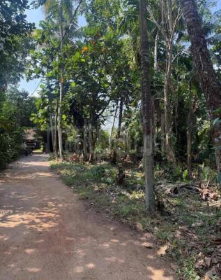 Commercial Land for Sale in Nittambuwa
