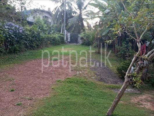 premium-listing-image