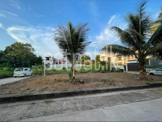 premium-listing-image