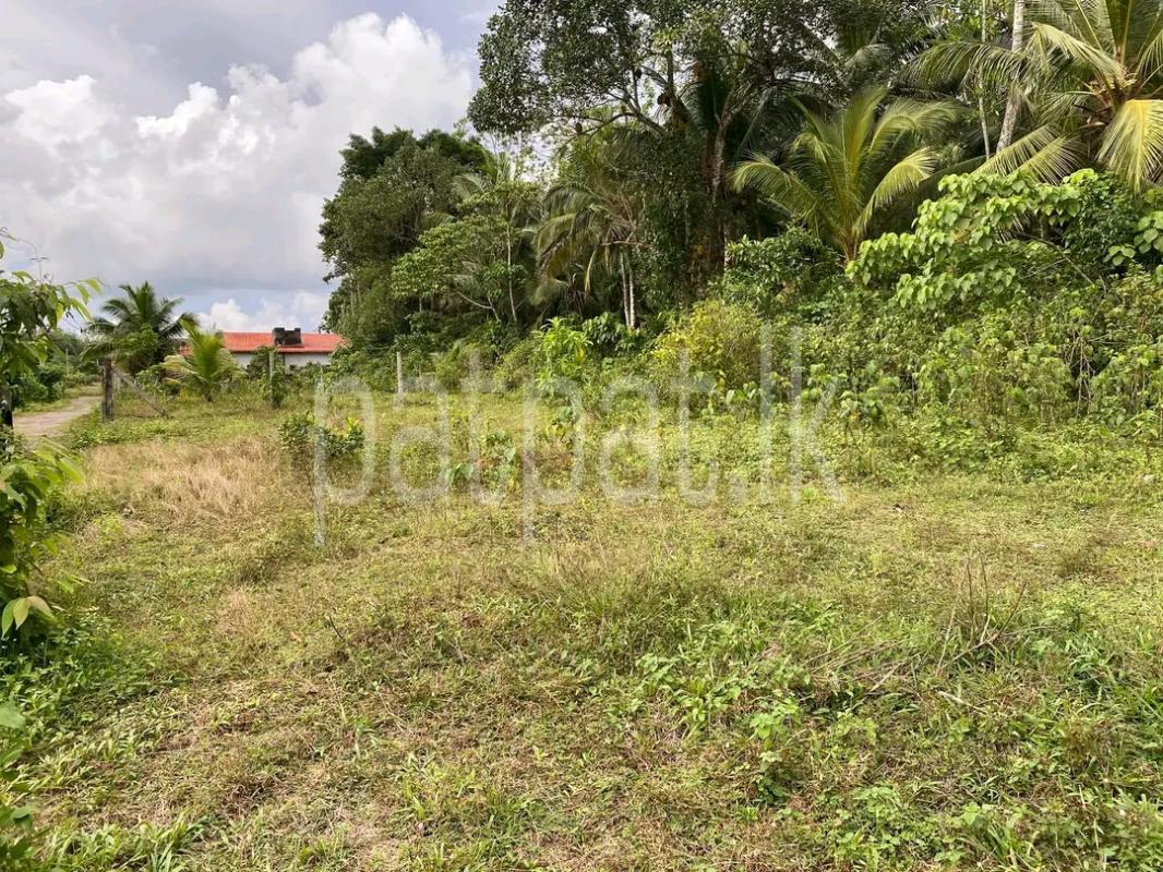 Agricultural Land for Sale in Galagedara