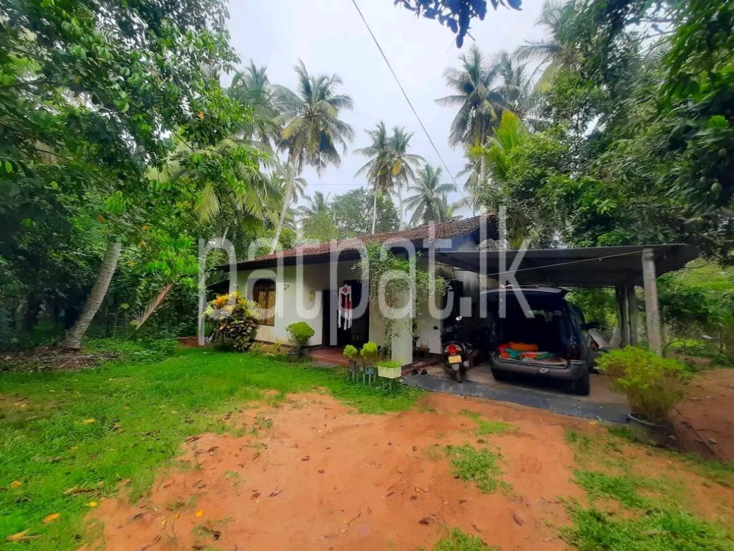 Residential Land for Sale in Kalawana