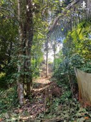 premium-listing-image