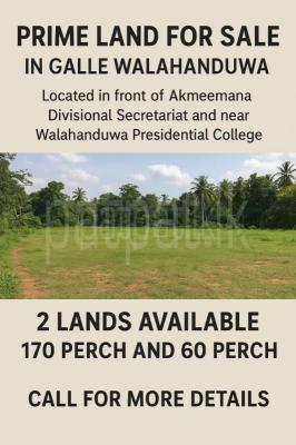 premium-listing-image