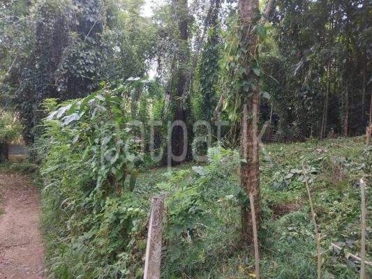 premium-listing-image