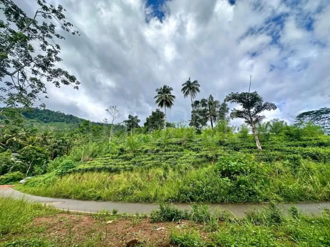 Commercial Land for Sale in Deniyaya